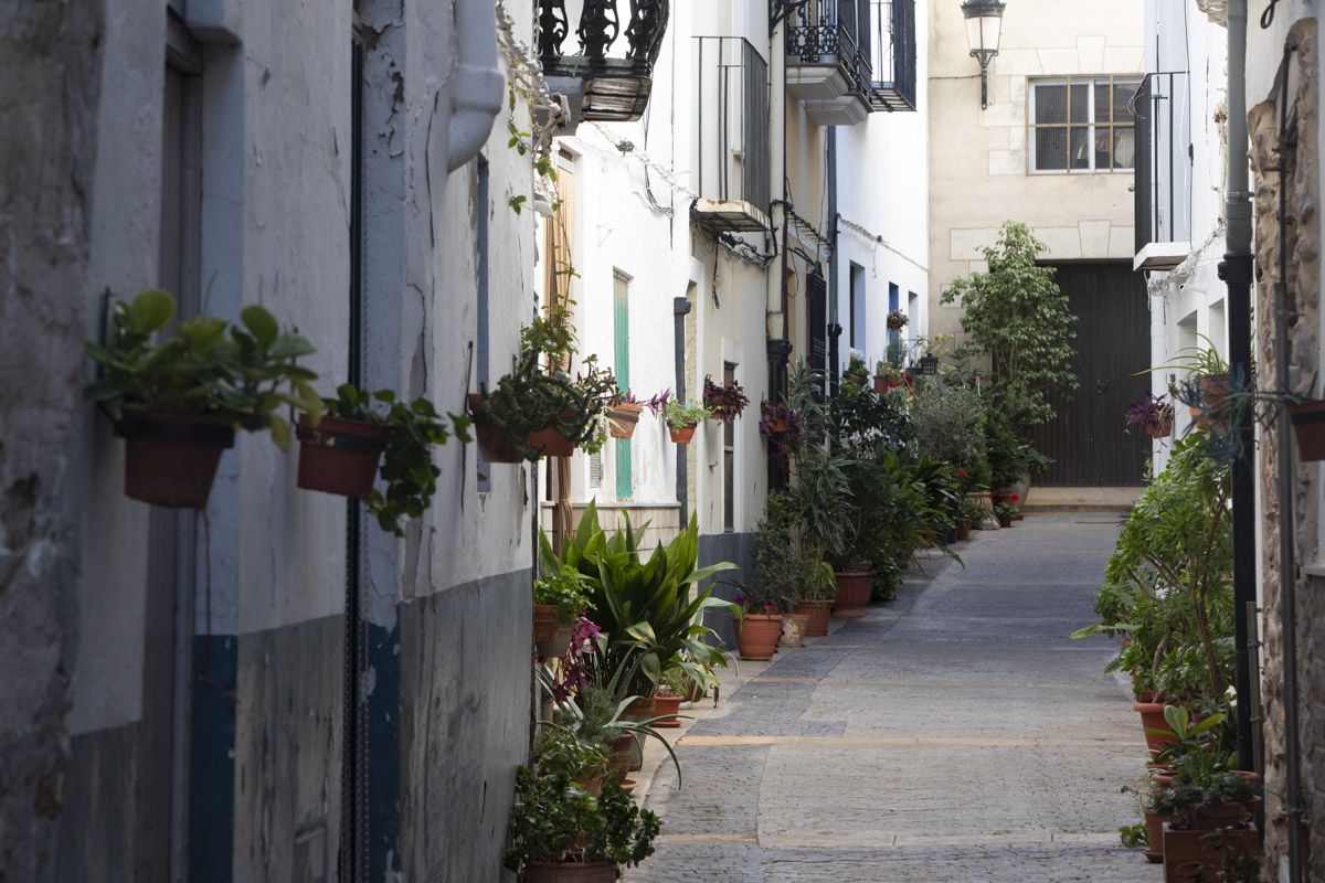 Un paseo por...Algar de Palancia