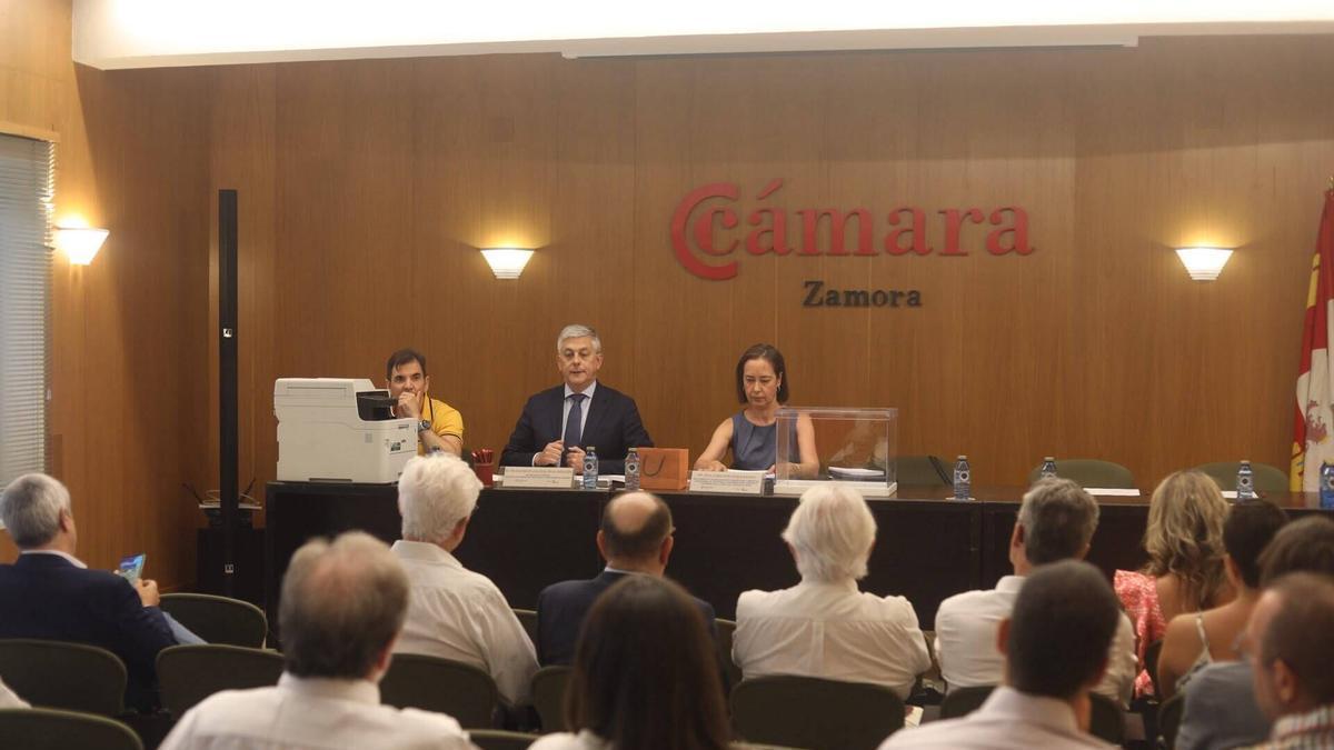 Pleno Constituyente de la Cámara de Zamora.