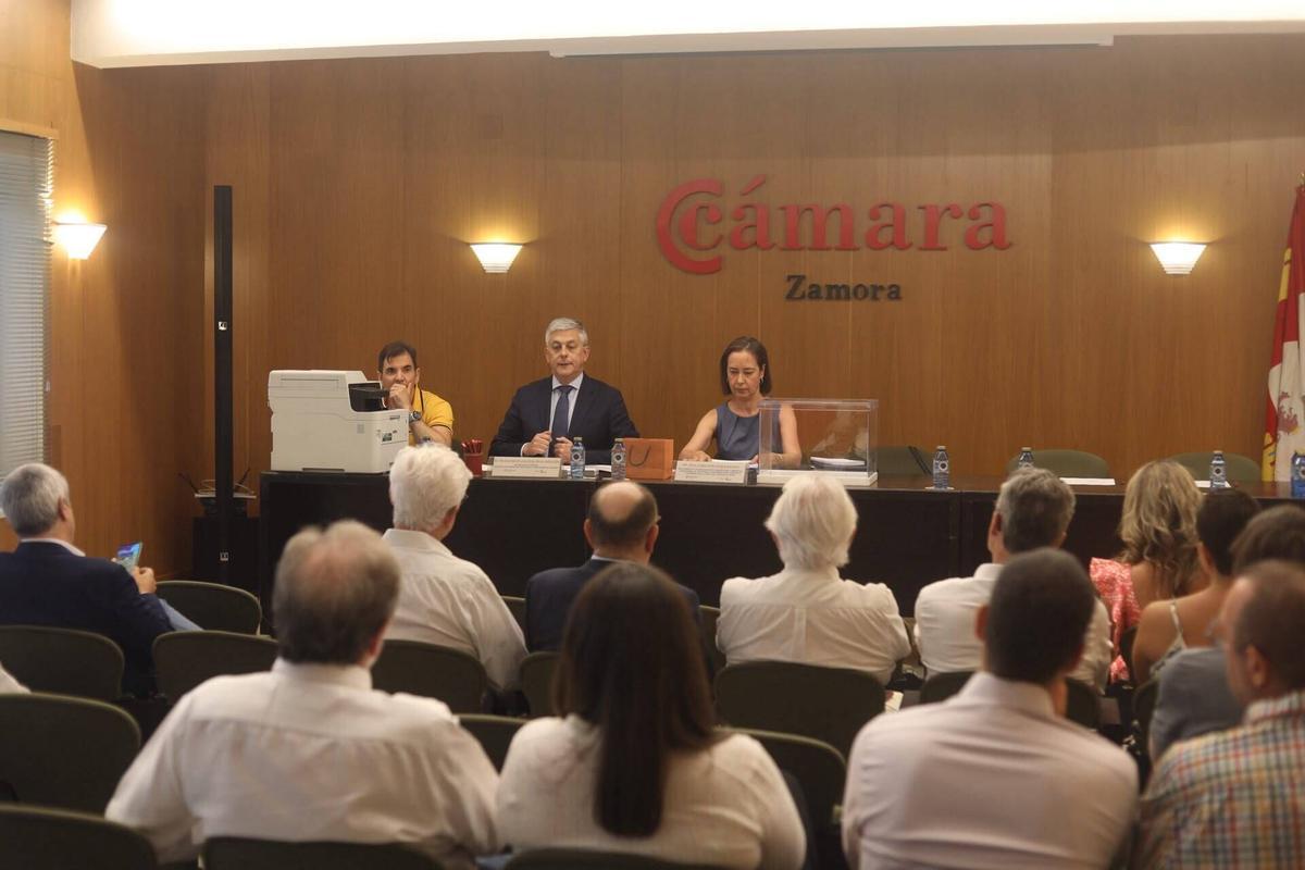 Pleno Constituyente de la Cámara de Zamora