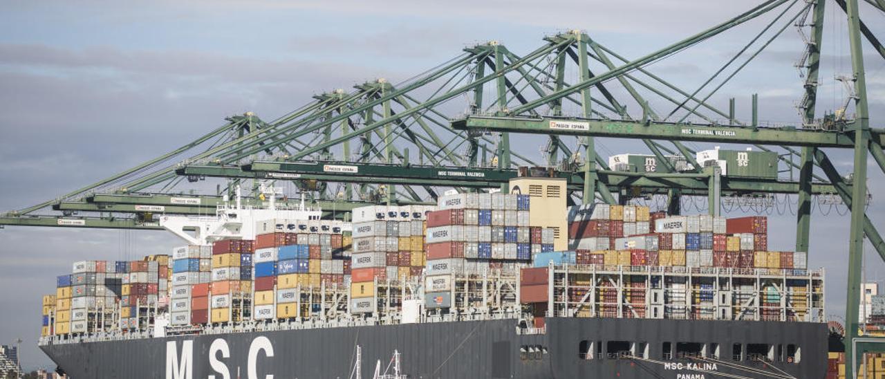 Terminal de contenedores de MSC en el Puerto de València.