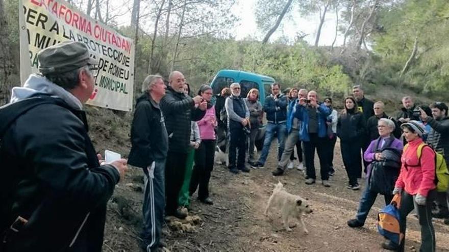 Casi 300 personas plantan árboles donde Lafarge  iba a ampliar la cantera