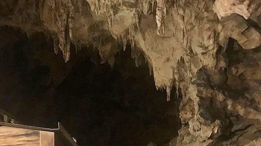 Los productores piden ampliar ya el número de grutas para el gamonéu ante la intensa demanda