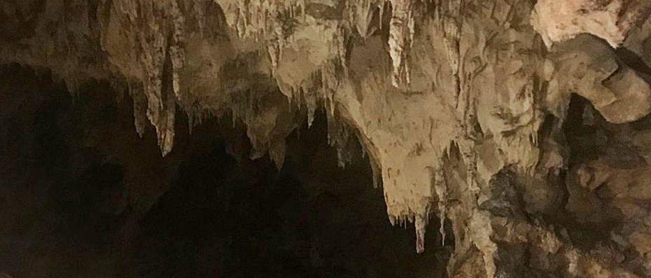 Los productores piden ampliar ya el número de grutas para el gamonéu ante la intensa demanda - La Nueva España