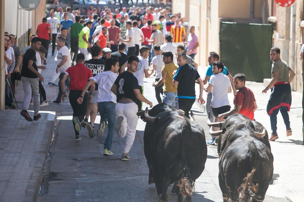 Festes de Sant Pasqual de Vila-real