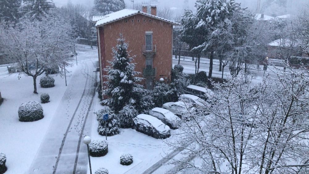 Nevada a Olot (26/2/18)