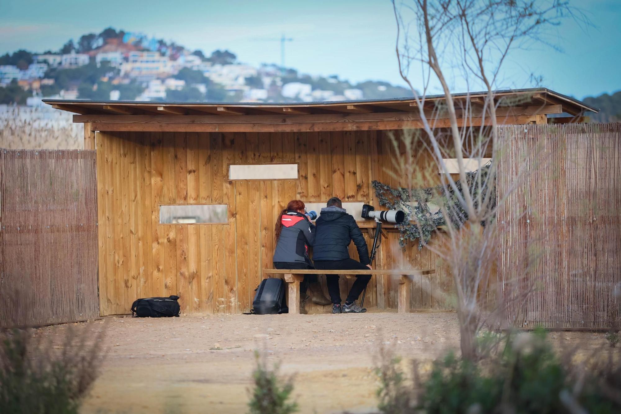 Esta es la situación actual de ses Feixes, en Ibiza