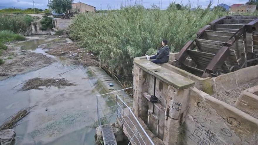 Las Norias Gemelas  se encuentran en dos de las 11  acequias de Orihuela.