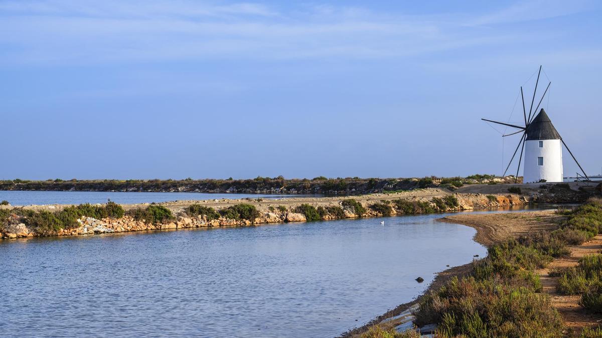 Es una de las lagunas más importantes de España a nivel de biodiversidad