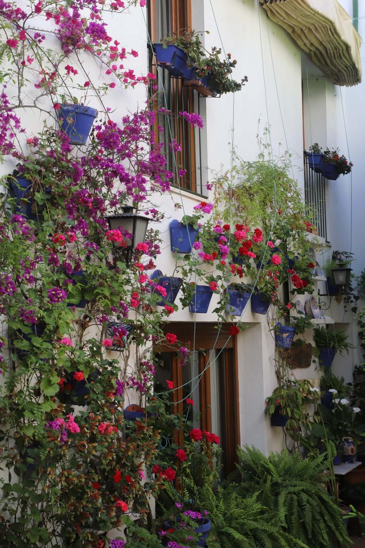 Los patios de Córdoba, San Andrés