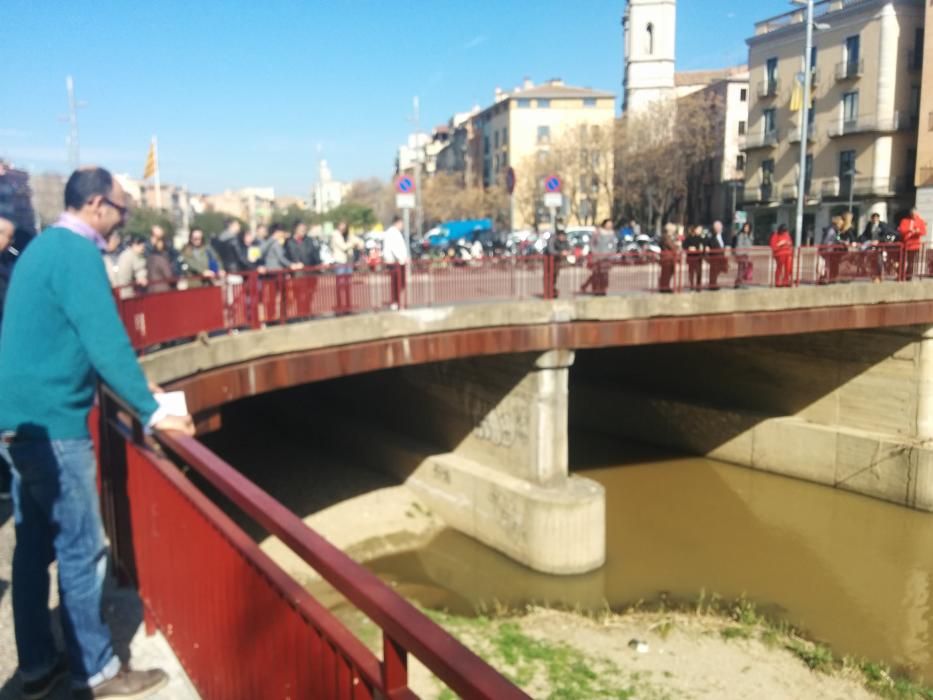 Una llúdriga a la Plaça Catalunya de Girona