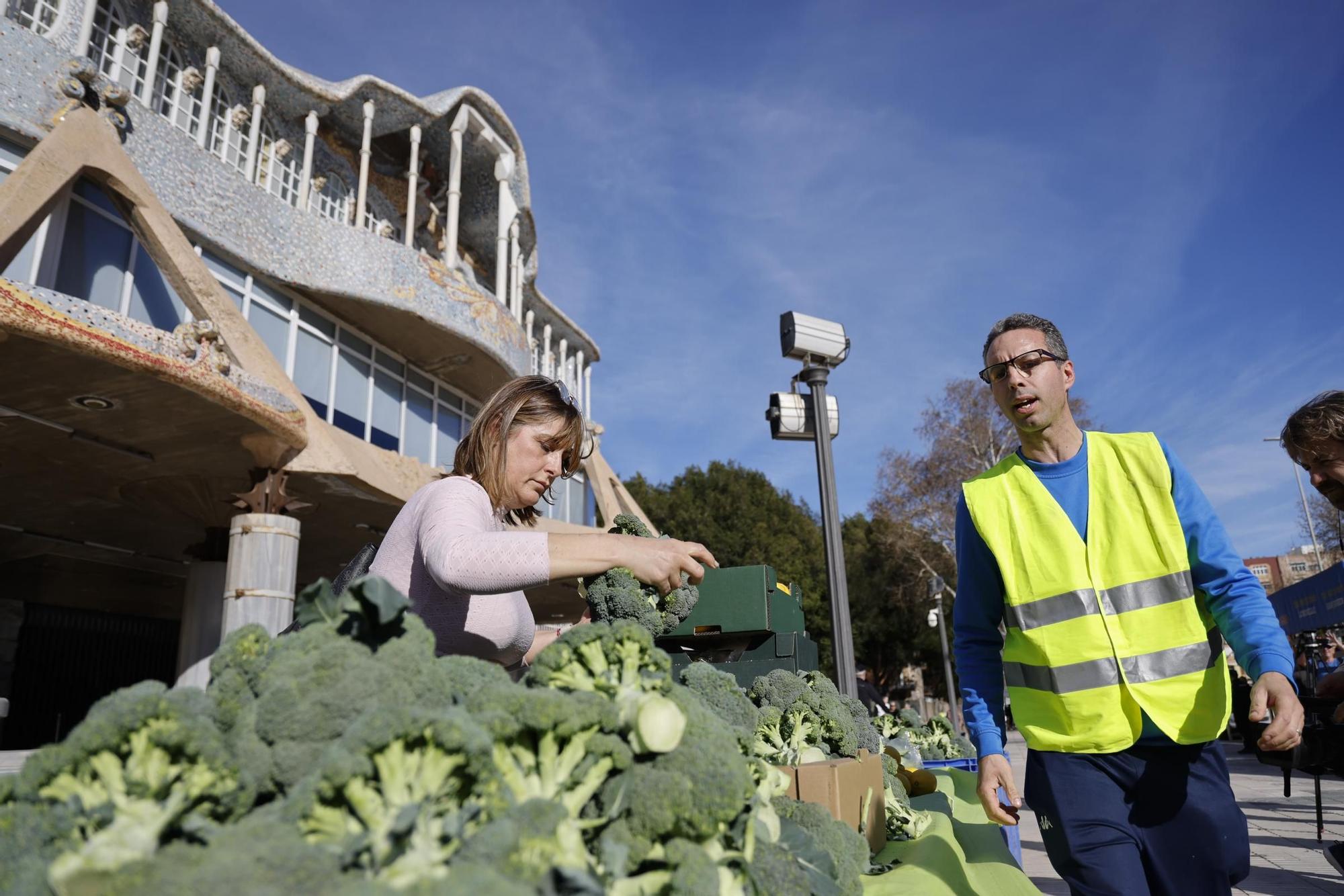 Las imágenes del plante de los agricultores frente a la Asamblea, donde han repartido frutas y hortalizas