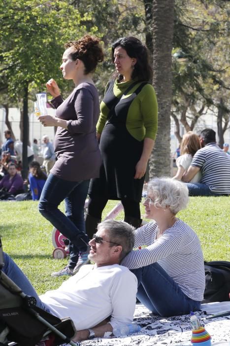 Jornada solidaria con PayaSOSpital en Valencia