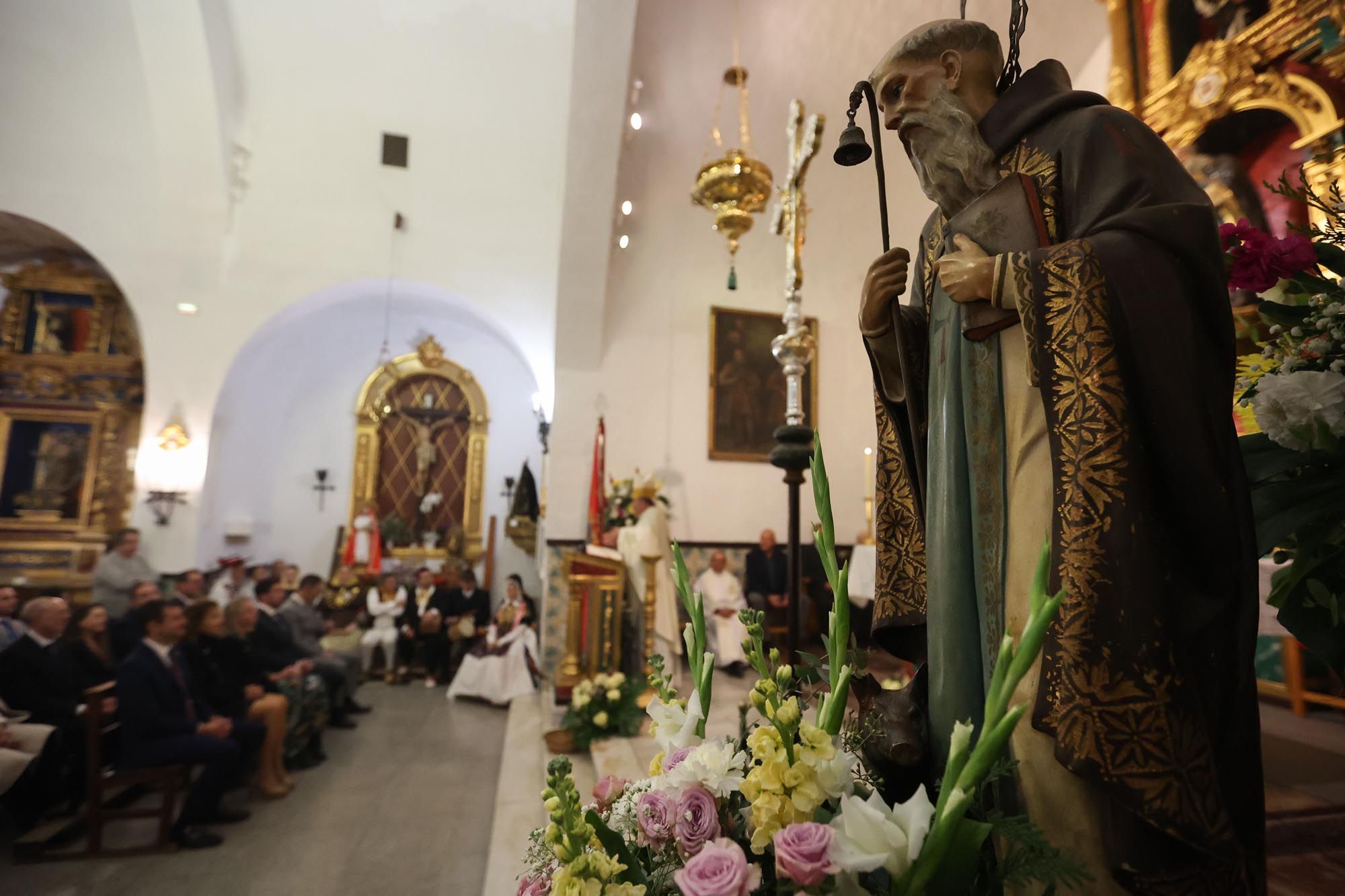 Todas las imágenes de la bendición de animales y el día grande de las fiestas de Sant Antoni