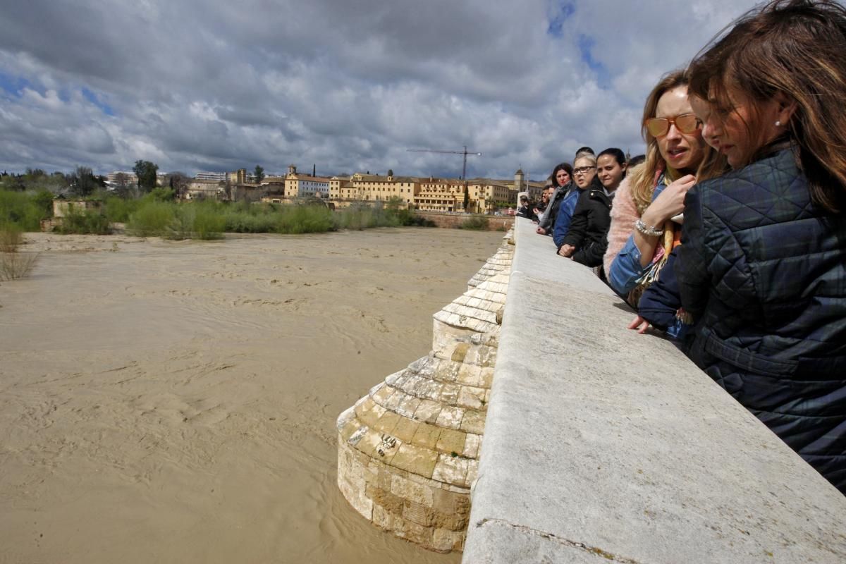 Córdoba, pendiente de la crecida del Guadalquivir