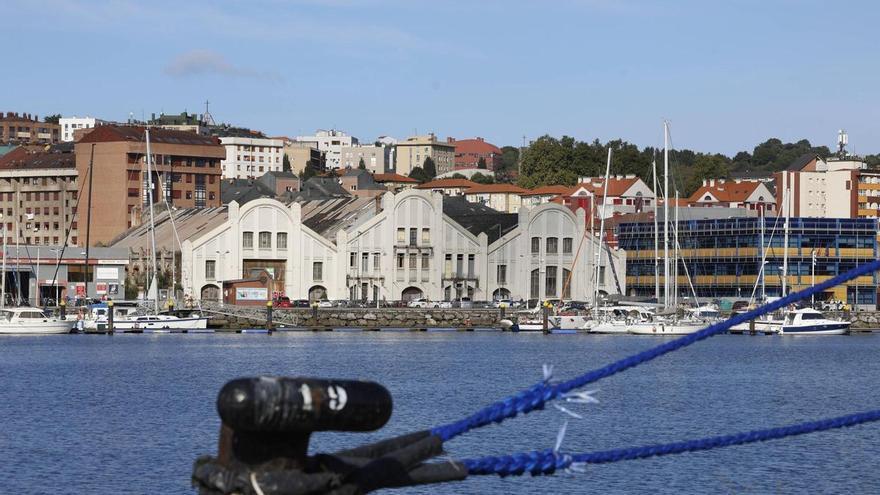 Avilés impulsa el 'birdwatching' con un aula de observación de aves en la ría y más de veinte especies posibles