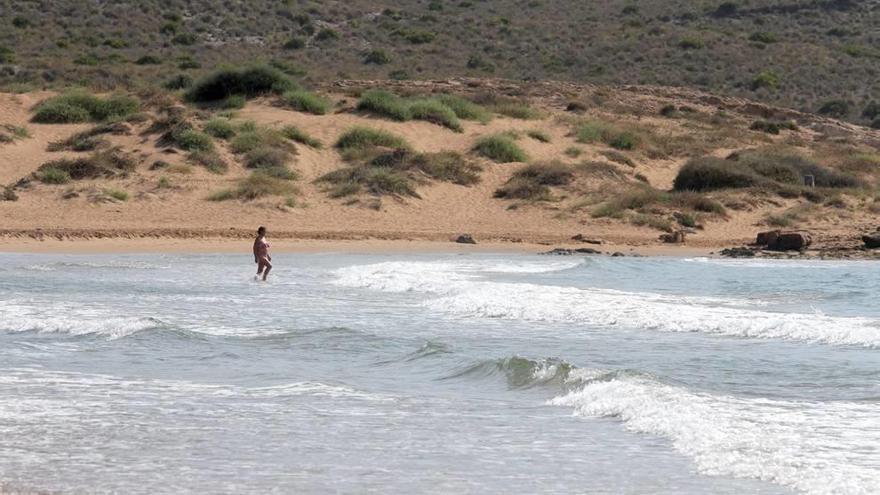 Los ecologistas alertan de que &quot;aún queda mucho por hacer&quot; para revertir la contaminación