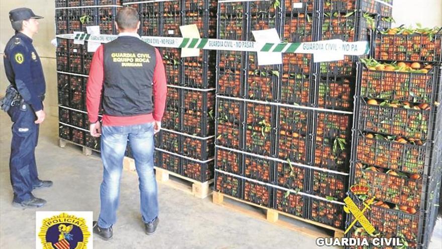 8 detenidos por robar 200 toneladas de naranja en huertos de Castellón