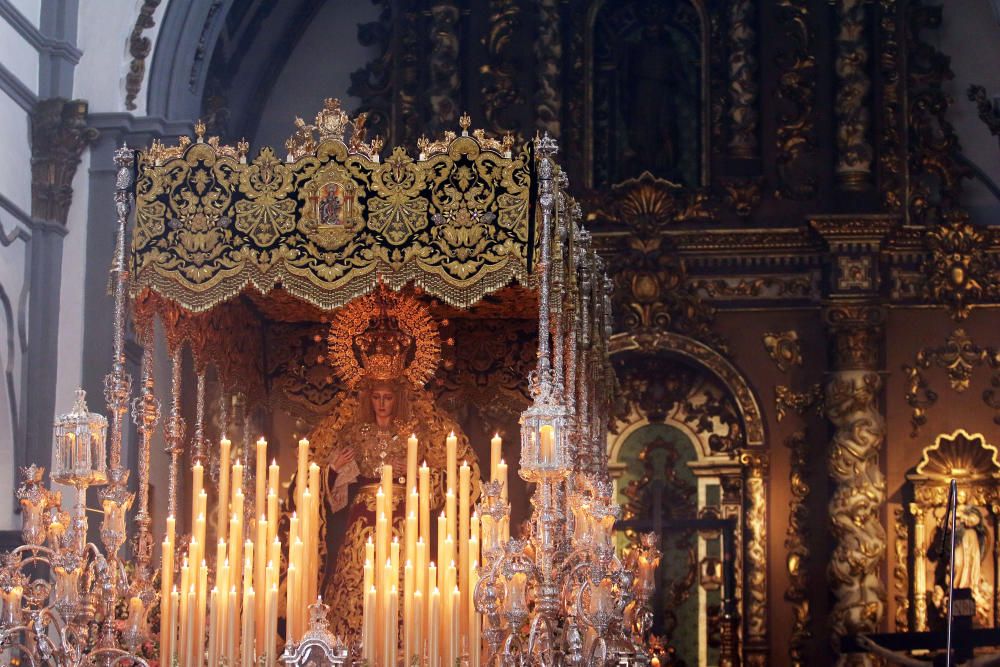 Domingo de Ramos | Lágrimas y Favores