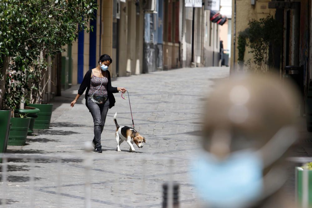 Viernes, 24 de abril | Málaga continúa en estado de alarma