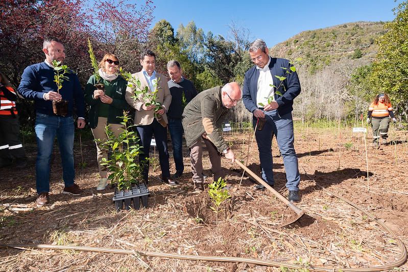 Reforestación de la Selva de Doramas