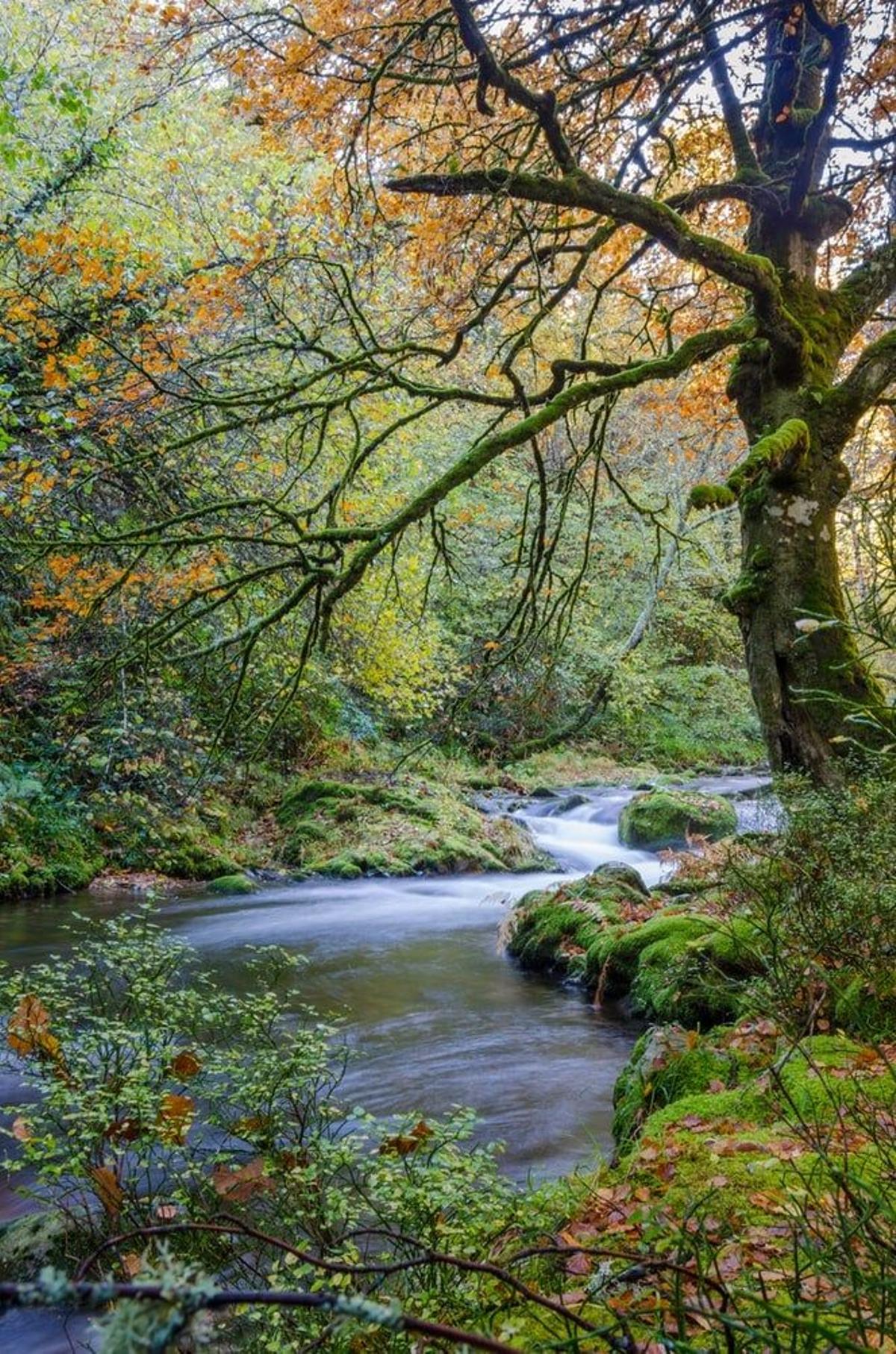 Asturias