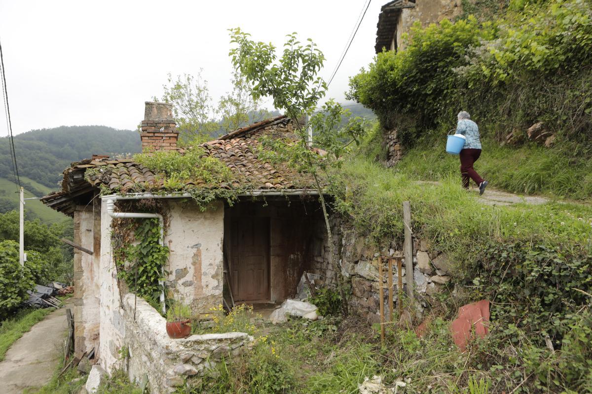 Bandujo, galería de fotos del pueblo más guapo de Asturias