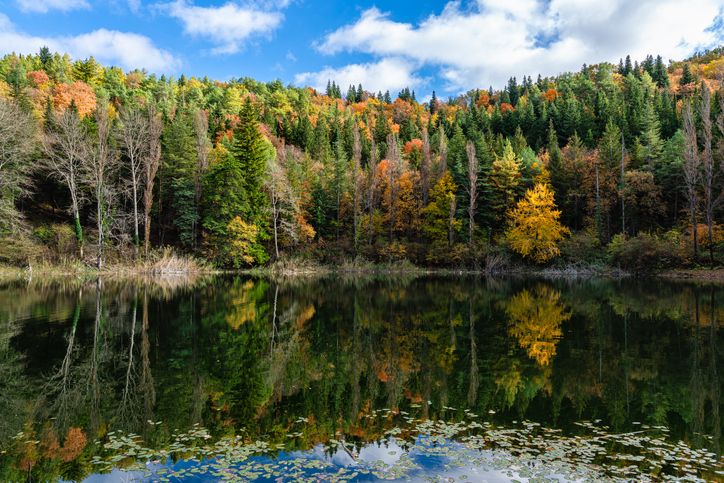 El otoño nos deja unos colores espectaculares en los dos lagos kársticos de Percile.