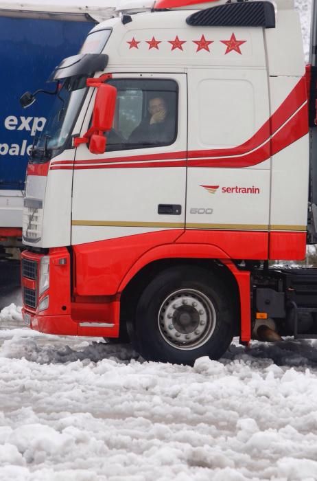 Efectos del temporal de nieve en Requena