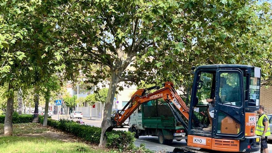 Moncada quiere acabar con la plaga de ratas del Parque de la Mediterránea con una renovación integral