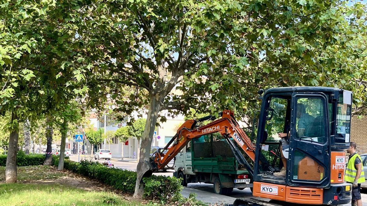 Trabajos de desbroce de los setos en el Parque de la Mediterránea.