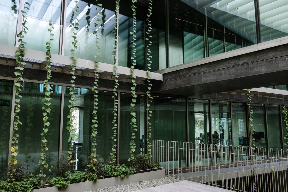 251010DMA_Bernardo A (225269411).jpg