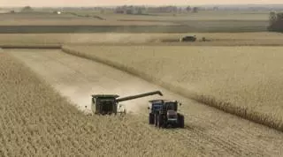 La buena previsión de la cosecha abarata la cotización de cereales