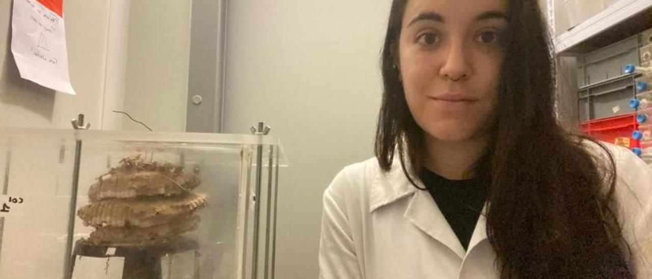 Mónica Doblas Bajo, con un nido de avispas asiáticas, en el laboratorio en el que investiga en Burdeos.