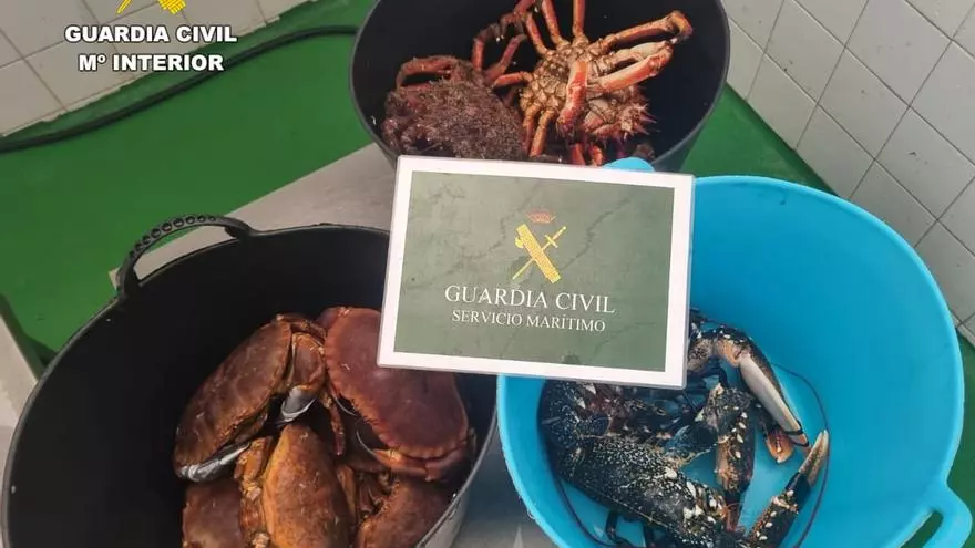 Decomisados en Laxe 19 kilos de marisco extraídos ilegalmente