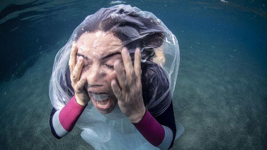 Plásticos, redes que atrapan tortugas y basura, la cara fea del fondo marino