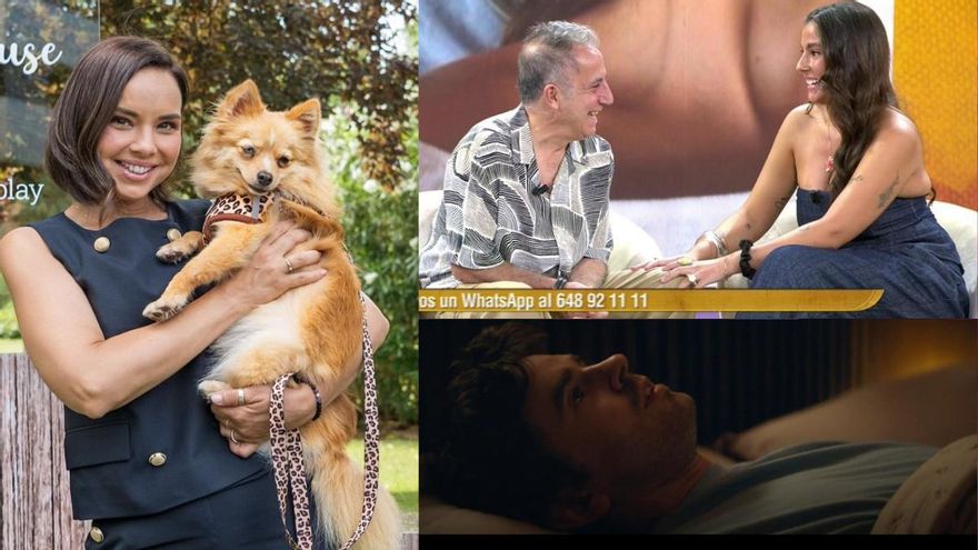 &#039;Dog House&#039; lidera, &#039;El diario de verano&#039; marca máximo y &#039;Asesina a sueldo&#039; mejora a &#039;El Gran Show&#039;