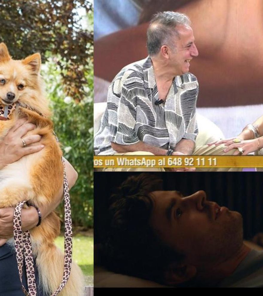 &#039;Dog House&#039; lidera, &#039;El diario de verano&#039; marca máximo y &#039;Asesina a sueldo&#039; mejora a &#039;El Gran Show&#039;
