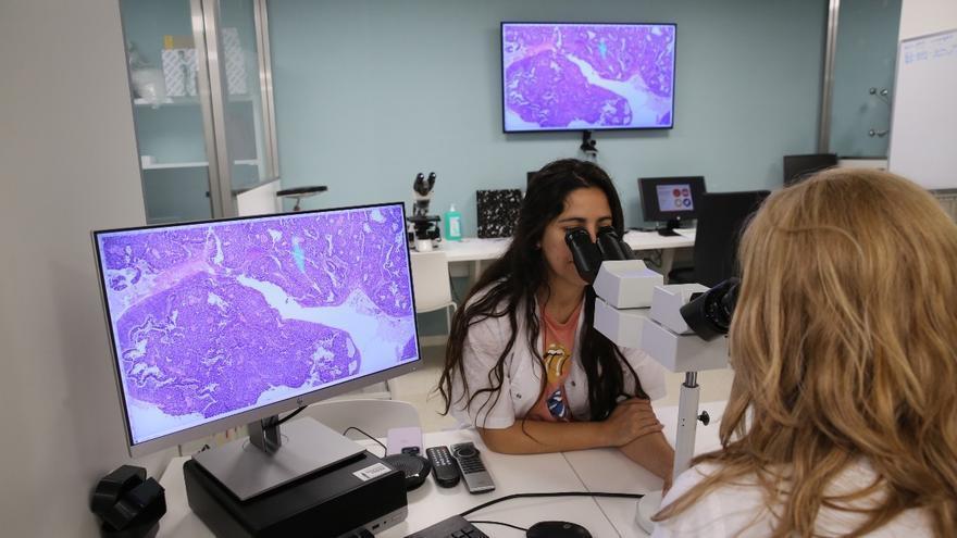 Investigadoras del Hospital Sant Joan de Déu trabajan con muestras de tumores infantiles.