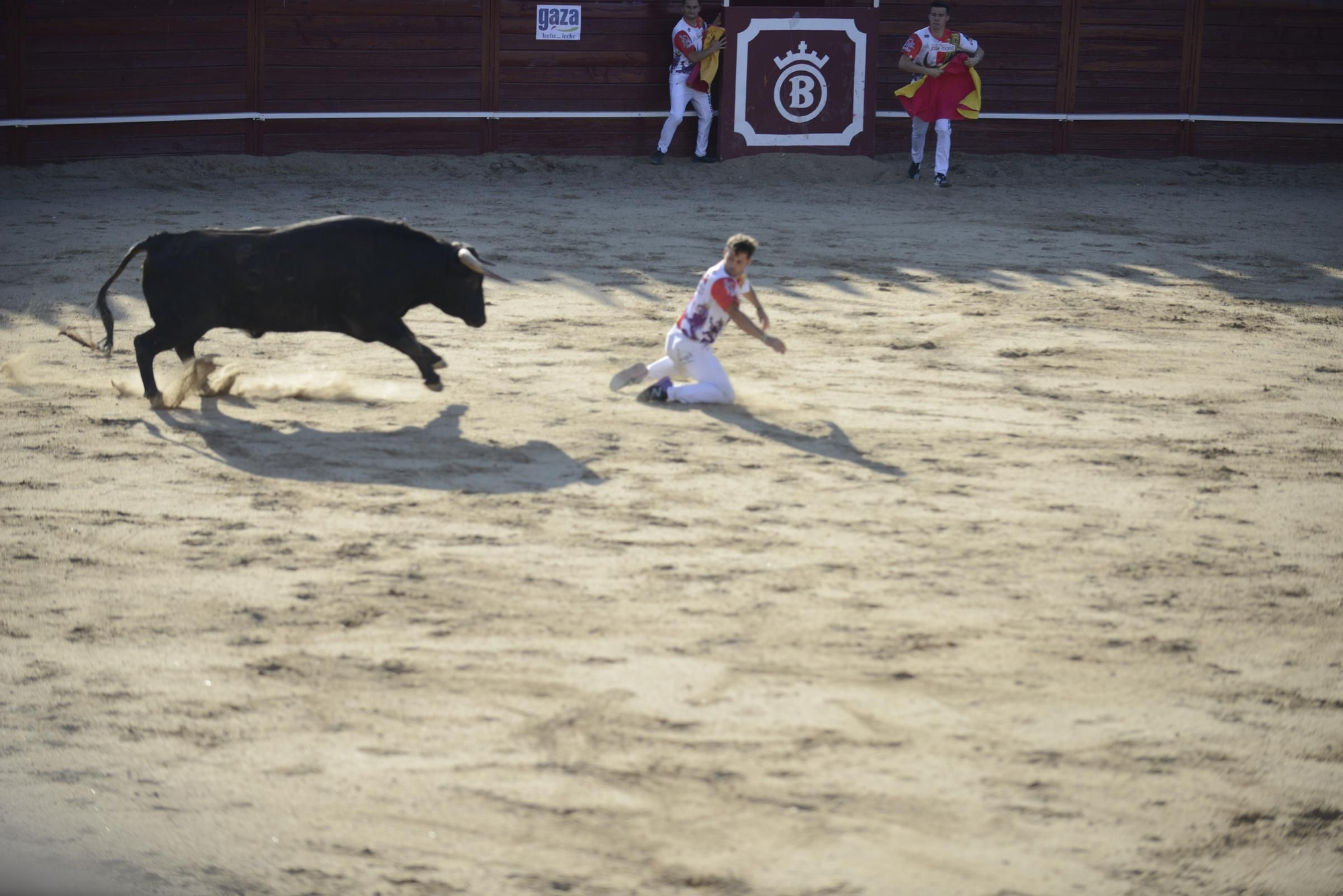 GALERÍA | Unos cuantos cortes de los arriesgados en Benavente
