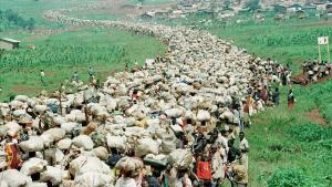 Decenas de miles de refugiados ruandeses son forzados a regresar a su país desde Tanzania en diciembre de 199.