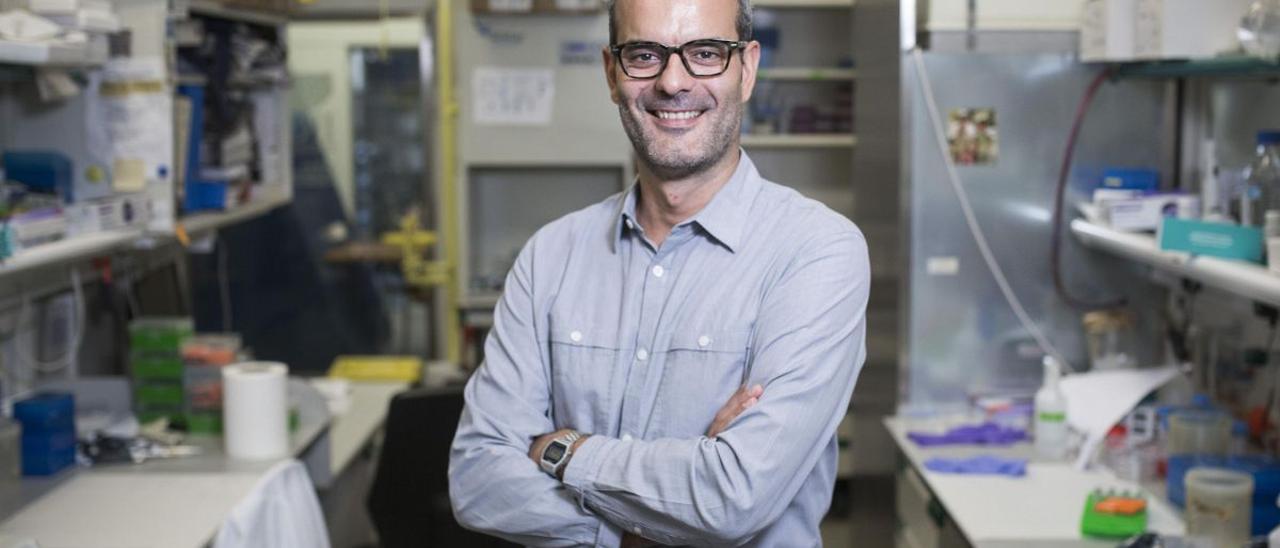 El doctor Salvador Aznar-Benitah, investigador del IRB Barcelona, que ha liderado un ensayo que demuestra que el ácido pálmitico favorece la expansión del cáncer.