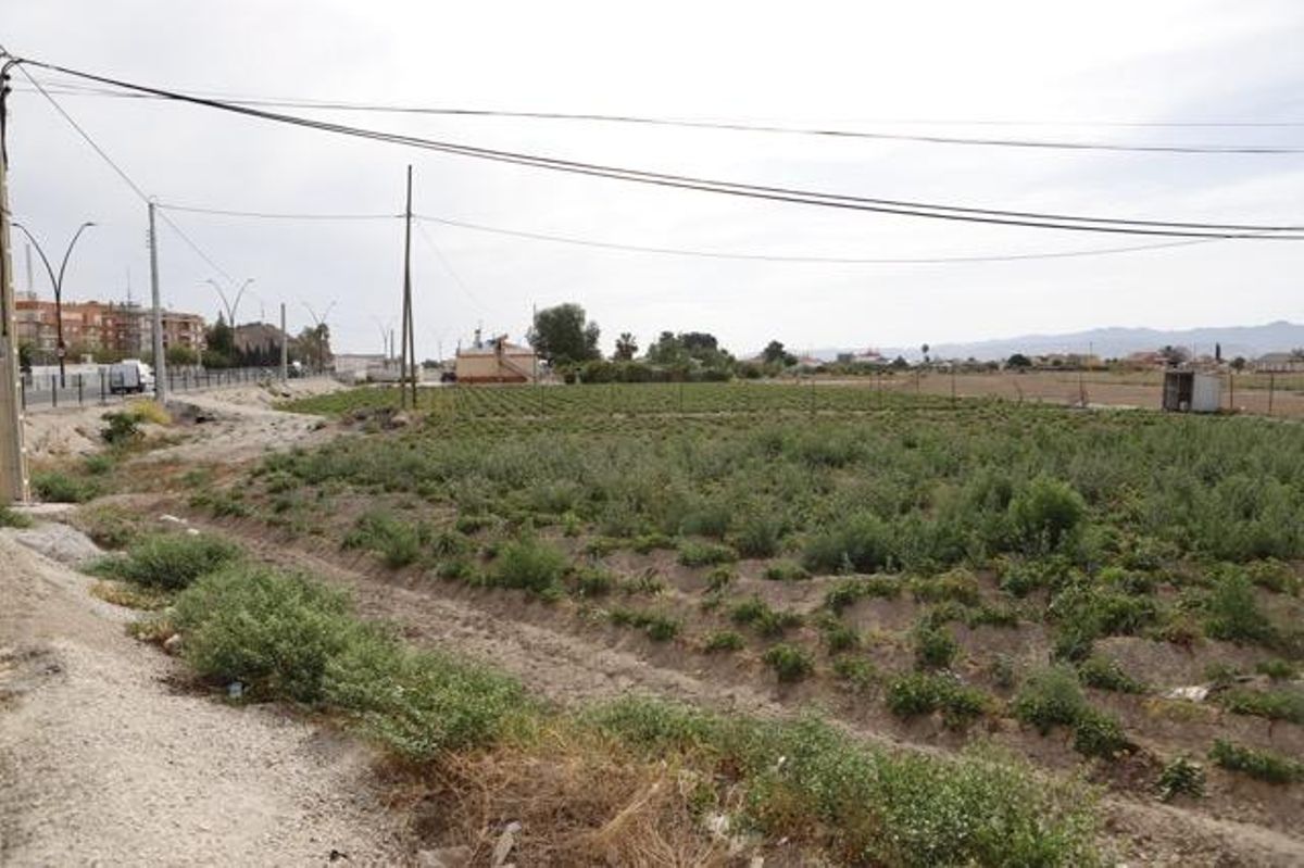 Panorámica de la pedanía de Tercia.