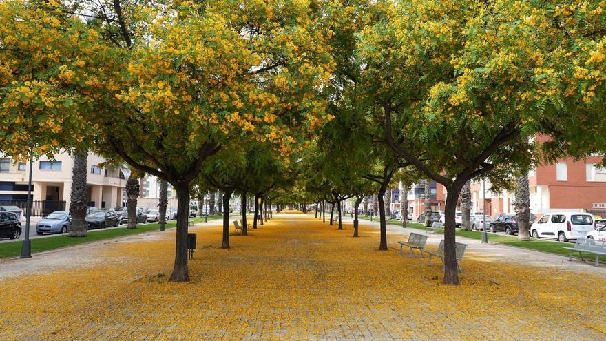 ¿Por qué las calles de Castelló se tiñen de lila y amarillo?