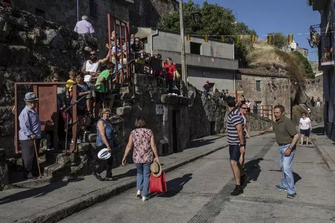 Las mejores imágenes del encierro de Fermoselle