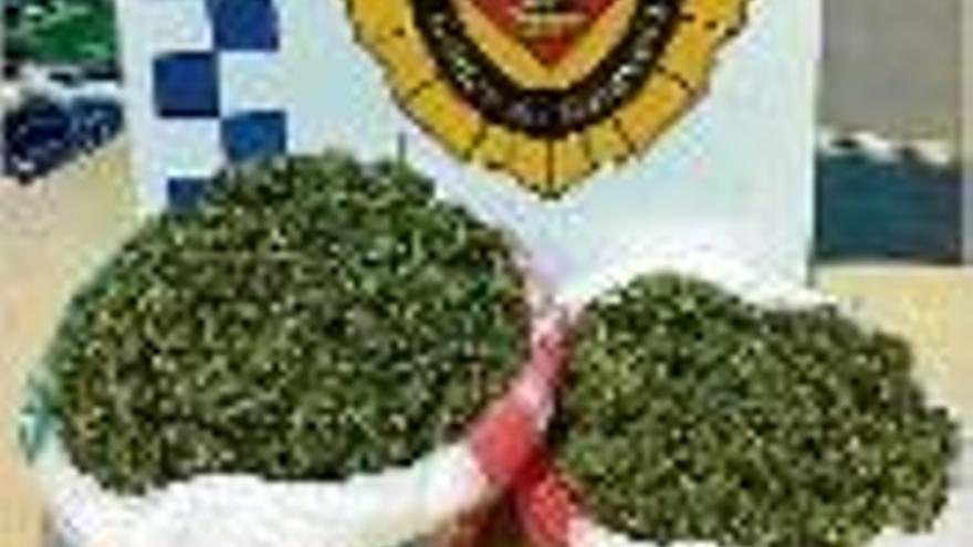 La marihuana confiscada a Caldes.