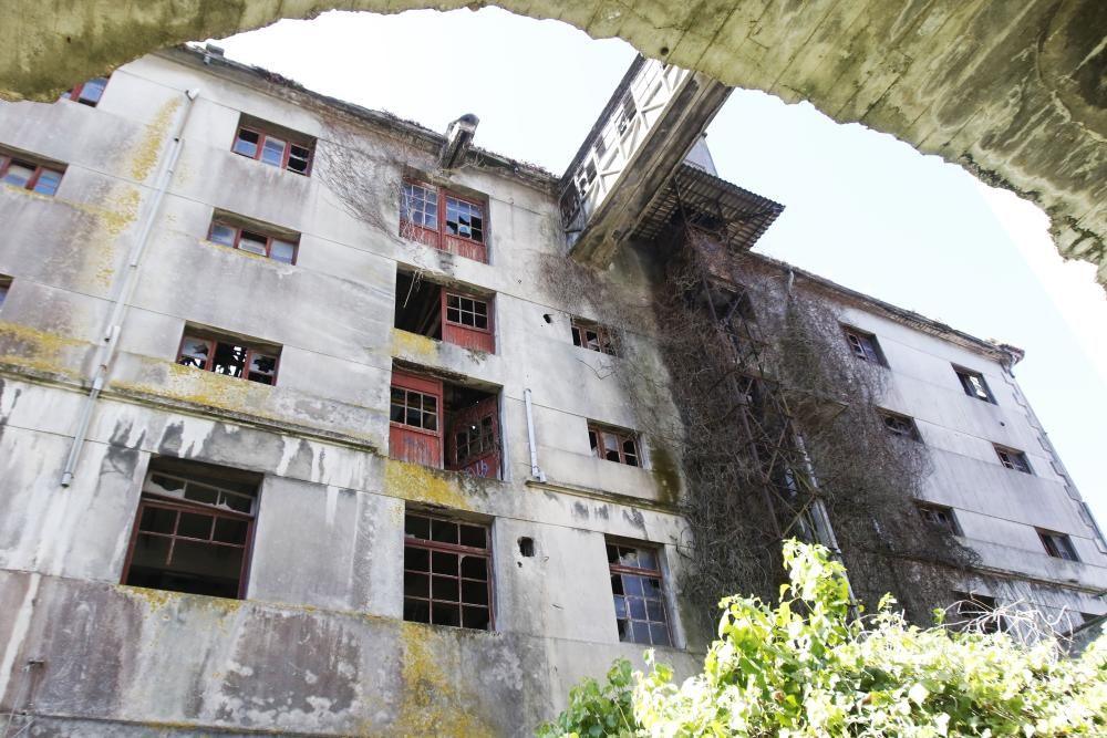 La antigua fábrica está plagada de escombros, maleza y grafitis - El plan municipal pretende rescatarla con nuevos usos públicos y privados