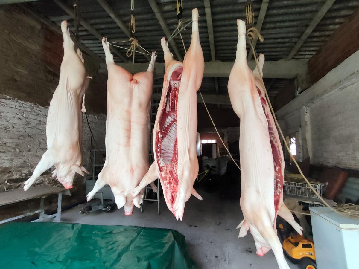 La matanza del cerdo resiste en Galicia: "Es la comida de todo el año"