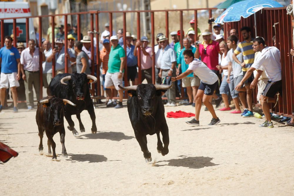 Encierro urbano en Villaescusa