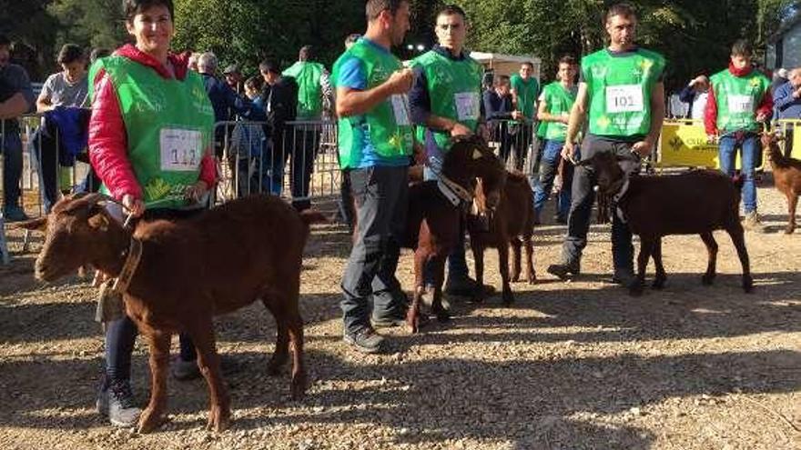 El I Concurso de cabra bermeya.