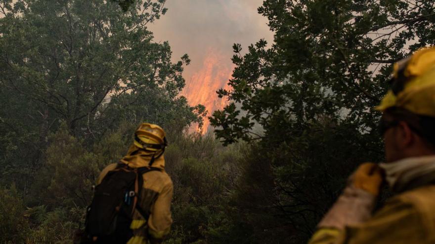 El cuento del (incendio) del león y del ratón